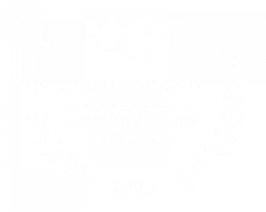 best seo agencies charlotte - dietz group on expertise.com