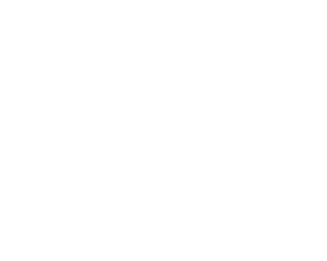 2026 Expertise Winner Best PPC Agencies Charlotte - Dietz Group