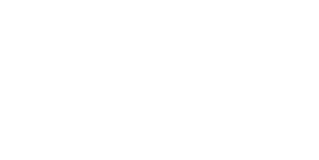 seniorroi-logo