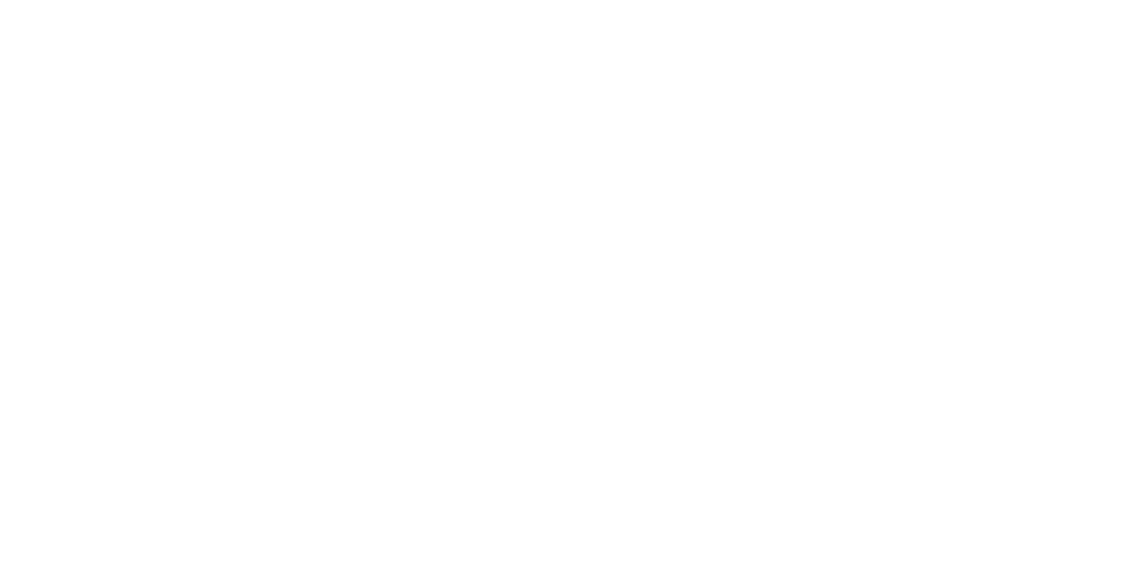 Vineyard Financial Planner