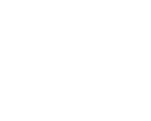 Dietz Group best digital marketing agency - all white
