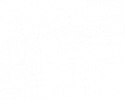 Best digital marketing agencies 2024 Charlotte